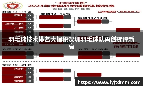 羽毛球技术排名大揭秘深圳羽毛球队再创辉煌新高