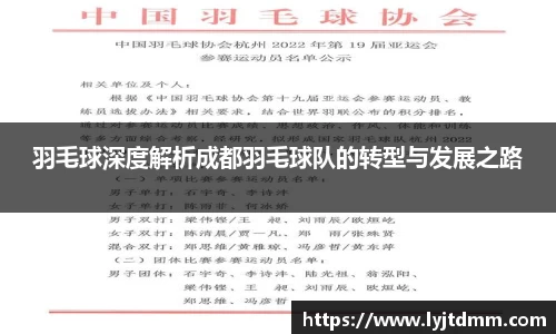 羽毛球深度解析成都羽毛球队的转型与发展之路