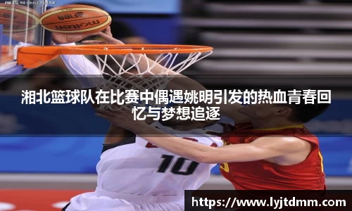 湘北篮球队在比赛中偶遇姚明引发的热血青春回忆与梦想追逐