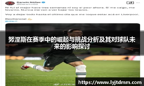 努涅斯在赛季中的崛起与挑战分析及其对球队未来的影响探讨
