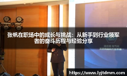 张帆在职场中的成长与挑战：从新手到行业领军者的奋斗历程与经验分享